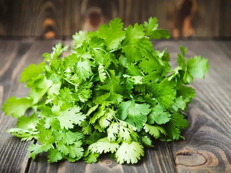Cooking with Coriander